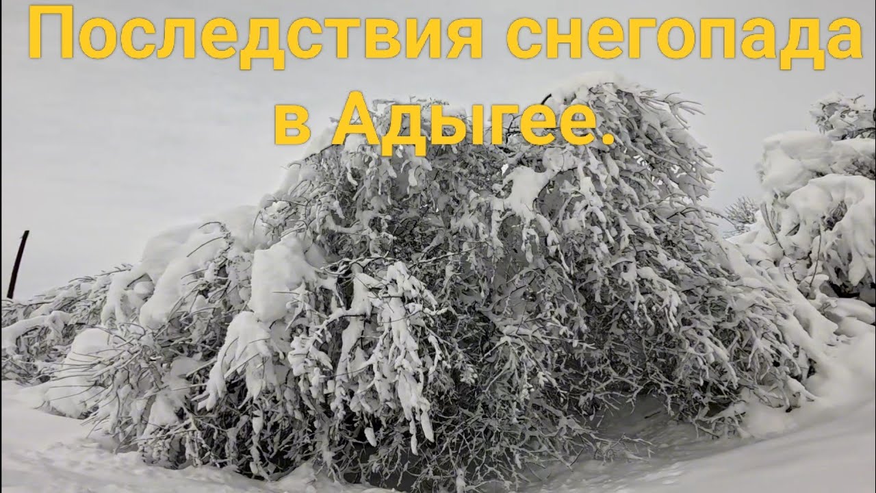Последствия снегопада в Адыгее, ст. Гиагинской.