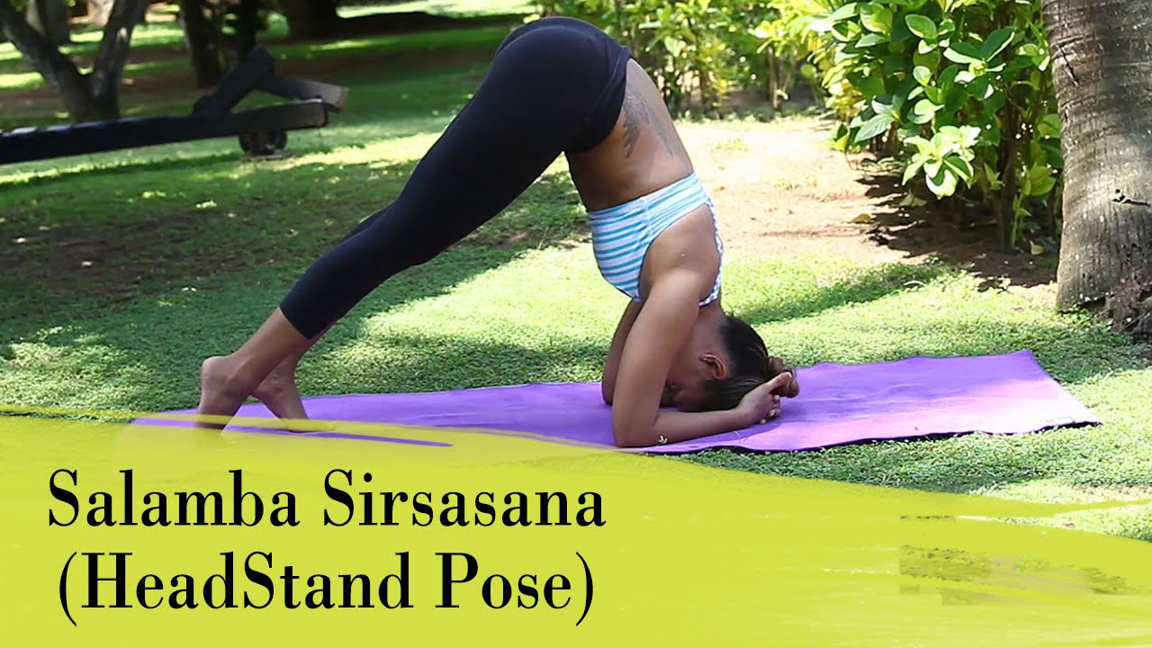 Yoga Asana   Salamba Sirsasana Head Stand Pose   Strengthens Lungs and Abdomen