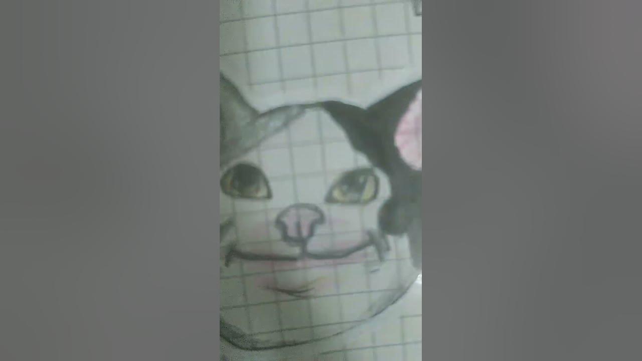 Beluga# 💪😎 Cat# кот# - YouTube