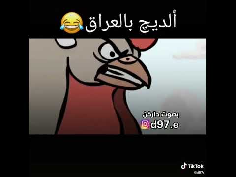 اديچ في العراق 