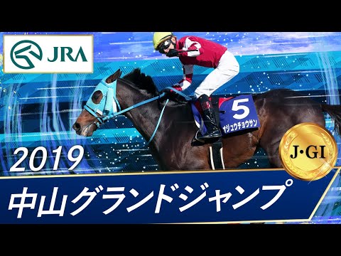 2019年 中山グランドジャンプ（J･GⅠ） | オジュウチョウサン | JRA公式