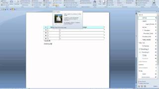 Office2007 tools.flv