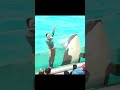 ラビーちゃんと匠トレーナーさん最高ペアー、#shorts