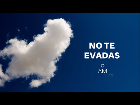 NO TE EVADAS