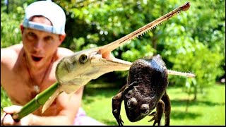 Making A Primitive Spear From A Gar’s Head! Frog Catch And Cook!