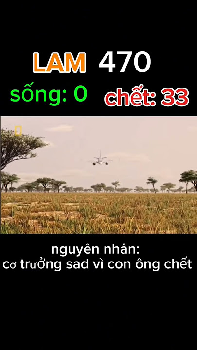 những vụ tai nạn máy bay do phi công tự sát #avation #planecrash