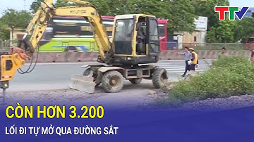 Thanh Hóa TV: Toàn Quốc Còn Hơn 3.200 Lối Đi Tự Mở Qua Đường Sắt