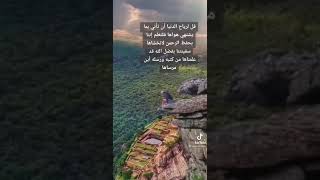 هذا الوقت سوف يمضي سيصلح الله كل شي  ثقتي بربي هي سر سعادتي