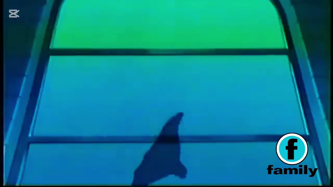 family THROWBACK (Canada) - Cardcaptors Promo (2026)