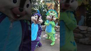 Chip and Dale! ❤️❤️❤️ #familyfriendly #disney #disneycharacters #takethetrip  #disneyvacation