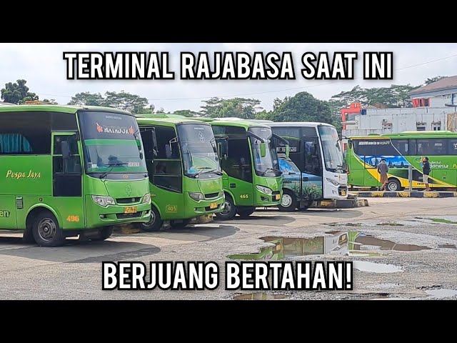 Kondisi TERMINAL RAJABASA Bandar Lampung Saat Ini SEPI, Berusaha BERTAHAN ! Tansportasi Indonesia class=