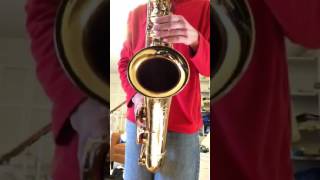 211,xxx Selmer Mark VI tenor saxophone with Berg Larsen, www.dcsax.com