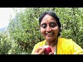 హార్సిల్ యాపిల్స్ తోటలో ।అందమైన పూల తోటలో #harsil#uttarakhand #4kvideo #trending #viralvideo #happy 