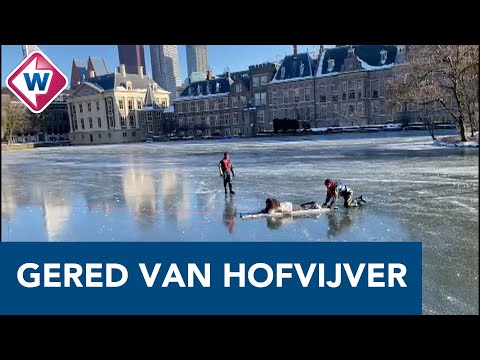 Vrouw wordt van