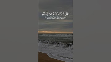 القارئ ياسر الدوسري | اكتب شيء تؤجر عليه