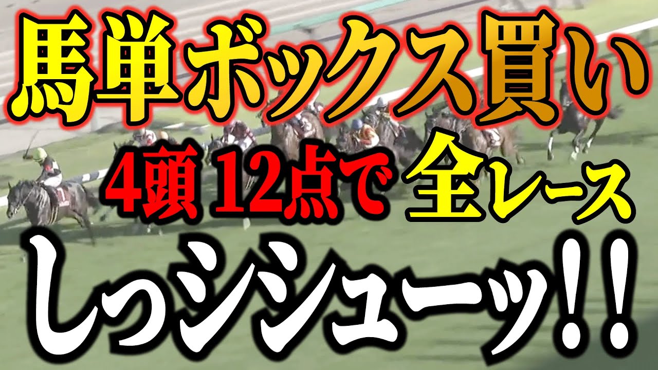 馬単4頭ボックス12点で全レースだッ！【競馬実践】