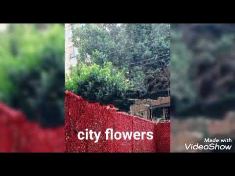 45 شارع هارون الرشيد بجوار عطارة الشريف مصر الجديدة