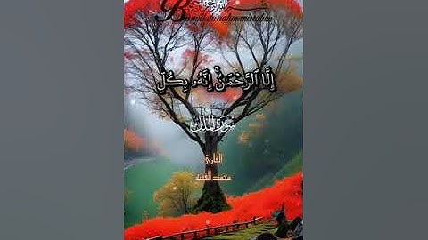 سورة الملك بصوت القارئ محمد الفقيه