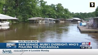 Raw sewage, murky oversight: Who’s policing the Pascagoula?