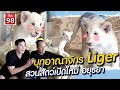 บุกอาณาจักร Liger - เพื่อนรักสัตว์เอ้ย EP.98 [2/2]