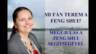 Mi fán terem a feng shui? Tippek a megújuláshoz