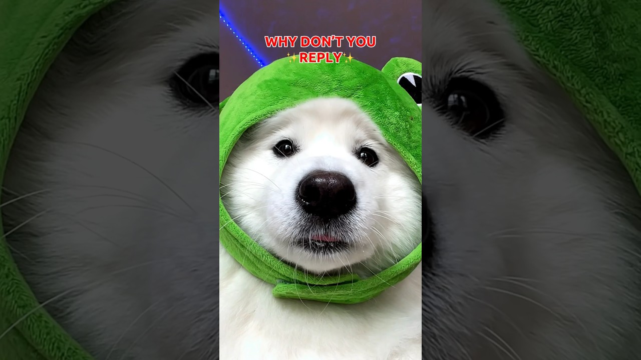 Send this to someone who doesn’t reply 💬 