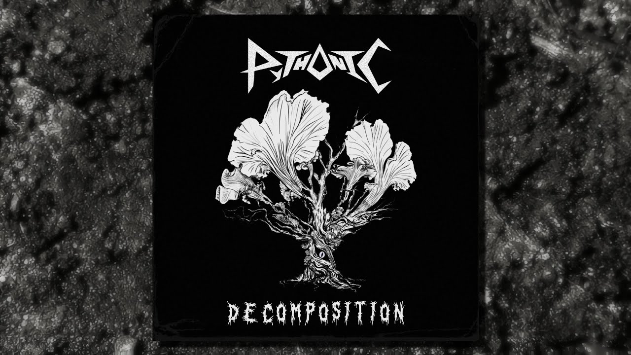 Pythonic - Decomposition (EP)