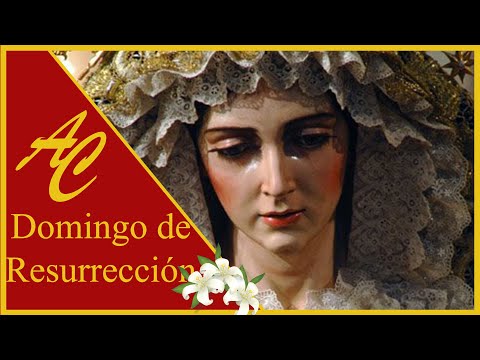 Ilustre y Lasaliana Hermandad Sacramental de la Santa Cruz y Cofradía de Nazarenos de la Sagrada Resurrección de Nuestro Señor Jesucristo, Nuestra Señora de la Aurora y San Juan Bautista de la Salle