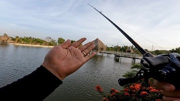 Câu cá chẽm 2 lần đụng Hugo và cái kết