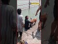 Haridwar Ghat Row: Woman Bathes Pet Dog in Ganga, Sparks Heated Clash with Devotees