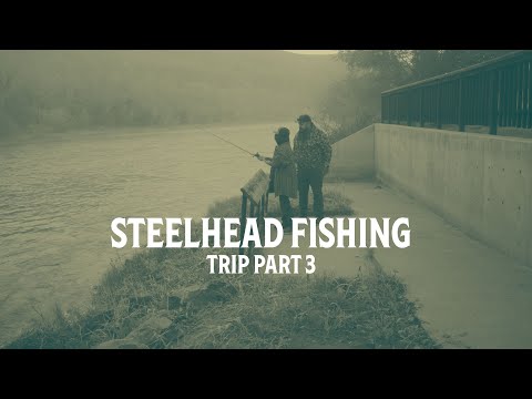 Steelhead Fishing | Part 3: On the Water