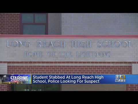 Student Hospitalized, Suspect Sought In Long Reach High School Stabbing, Police Say