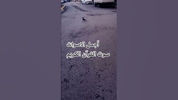 اللهم اجعل القرآن ربيع قلوبنا ونور صدورنا# ماتيسر من سورة الكهف ♥️🌺# #راحة_نفسية #تصويري#الرحمن