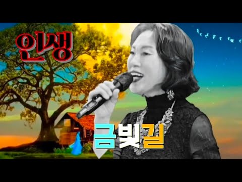 인생-금빛길 가수(Cover 모정애)/트롯트 가요무대-추억여행/소울이 있는 노래-트롯트 힐링콘서트/나눔과 사랑의 위안공연/K-Trot Best Singer👩🎤부산인기트롯트가수