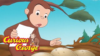 Curious George&#39;s Egg Hunt 🐵 Curious George 🐵 Kids Cartoon 🐵 Kids Movies