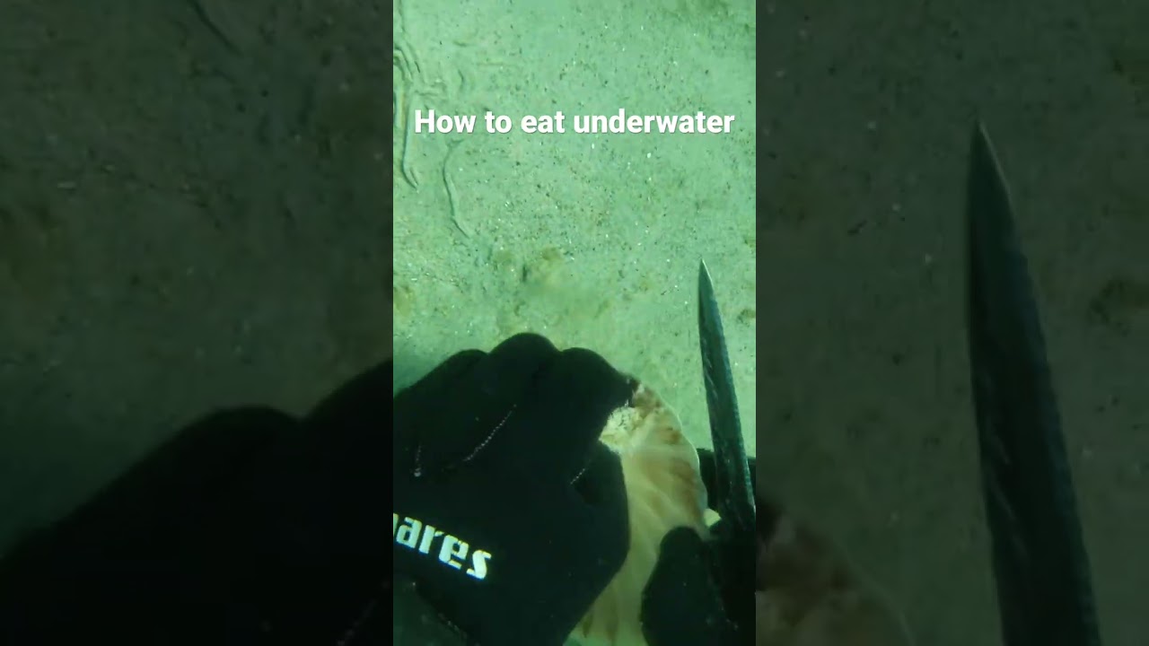 Grabbing a snack while HOLDING MY BREATH! 🐚