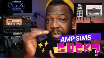 Why  AMP SIM and Modelers SUCK!!! here is whY