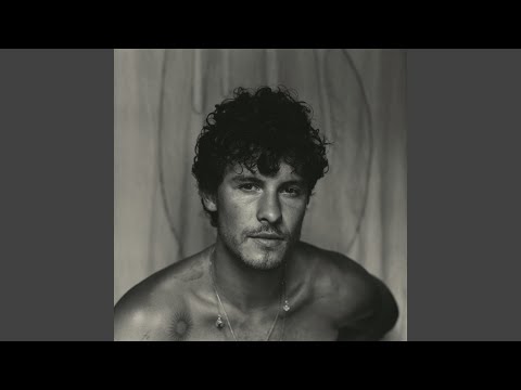 Shawn Mendes - Why Why Why