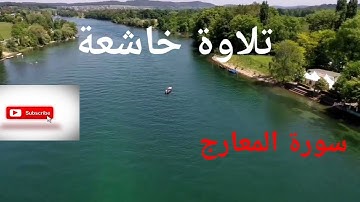 سورة المعارج للشيخ محمد الكنتاوي