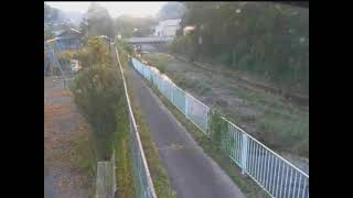 成木川 成木川 のライブ映像