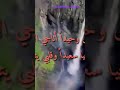 دعوني اسير إلى خالقي منصور السالمي