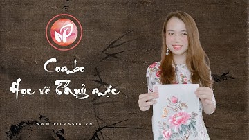Giới thiệu Combo Học vẽ Thuỷ mặc | Picassia