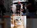 Confused Aura 🗿 #cat #meme #funny #trending #viral