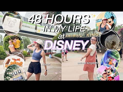 48 hours in my life at disney world