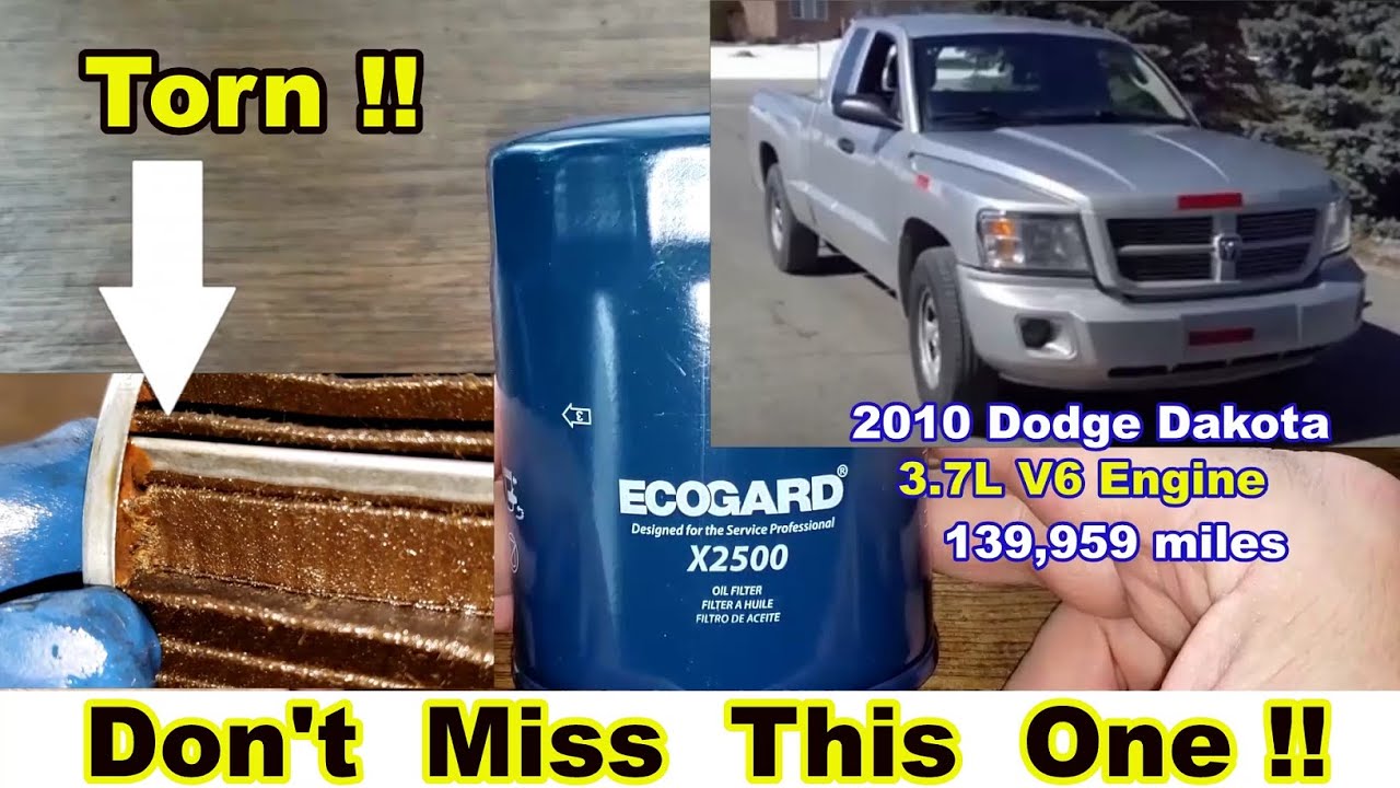 Ecogard Oil Filter X2500 Cut Open, Used Ecogard Oil Filter Cut Open YouTube
