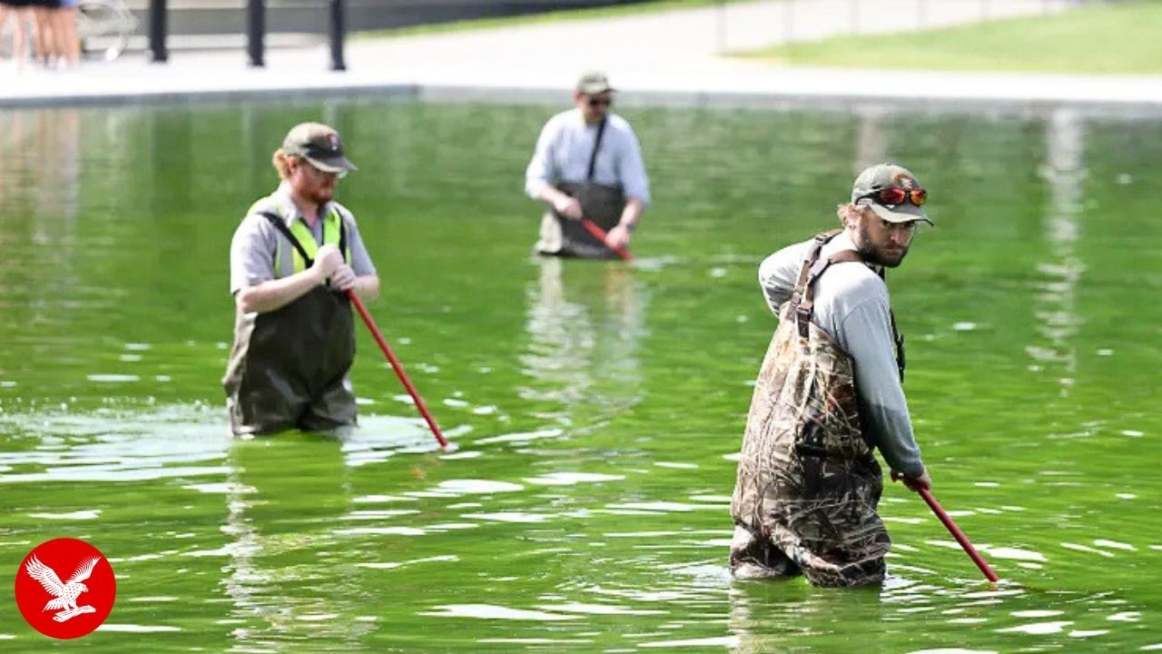 Reflecting Pool chaos: The Independent reports from the iconic site