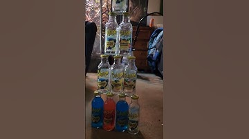 you ever had calypso #calypso #lemonade #bestdrink #mrbeast #funny #statisfying