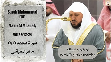 Surah Muhammad (47) Verse 12-24  Mahir Al Moaqaly تلاوة عذبة من سورة مُحمّد ﷺ ⁧ #ماهر_المعيقلي⁩ .