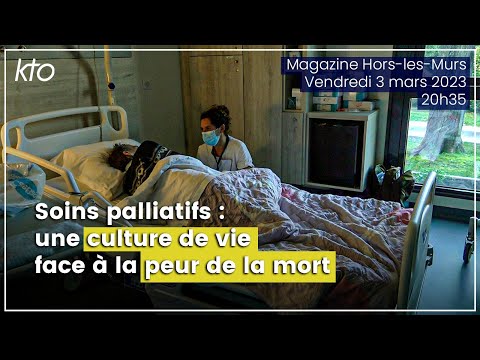 Vidéo: Ce qu'il faut savoir sur les soins palliatifs et les soins palliatifs pour animaux de compagnie en difficulté