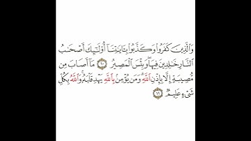 سورة التغابن 4 القسم الرابع تكرار كيفي من .. والذين كفروا وكذبوا .. إلى .. والله بكل شيء عليم